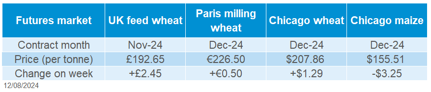 Grain futures 12 08 2024